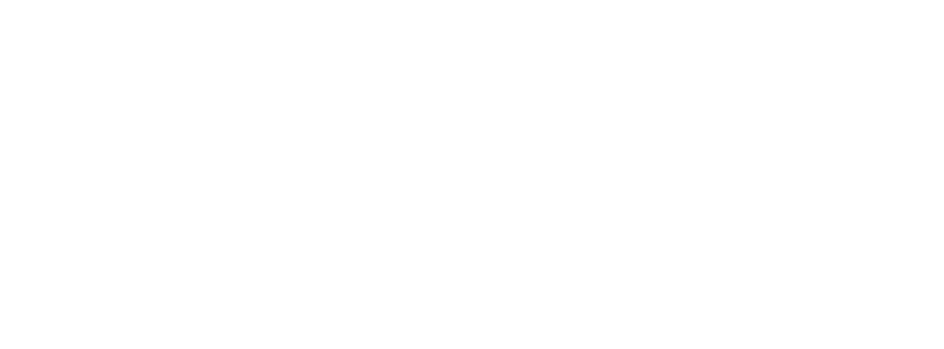 alyzona.com